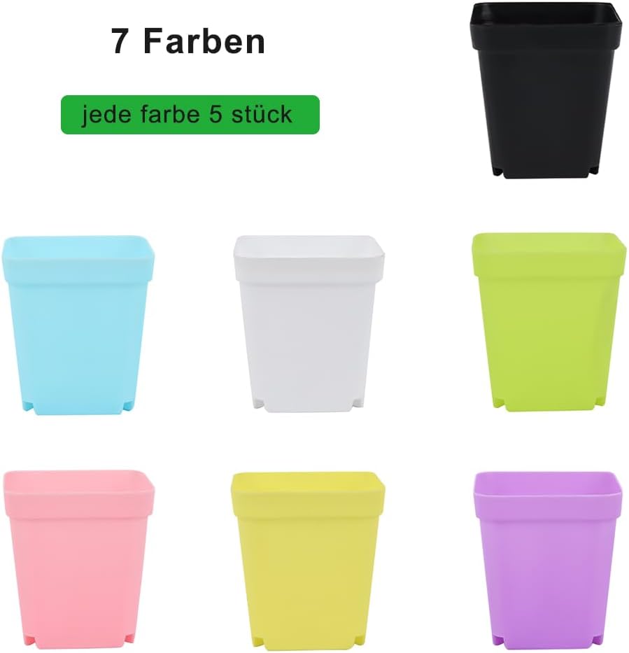 Külvipotid