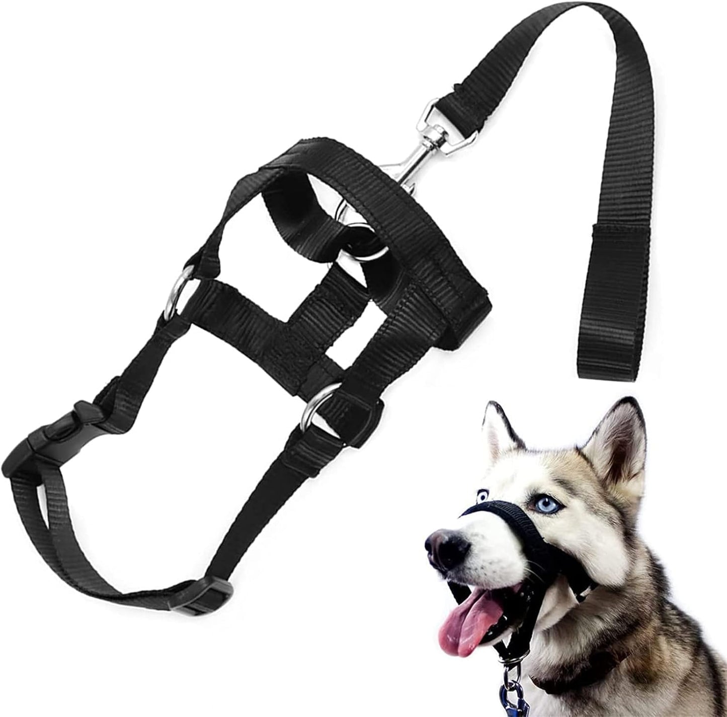 Koera koonurihm